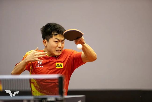 次印度羽毛 次印度羽毛