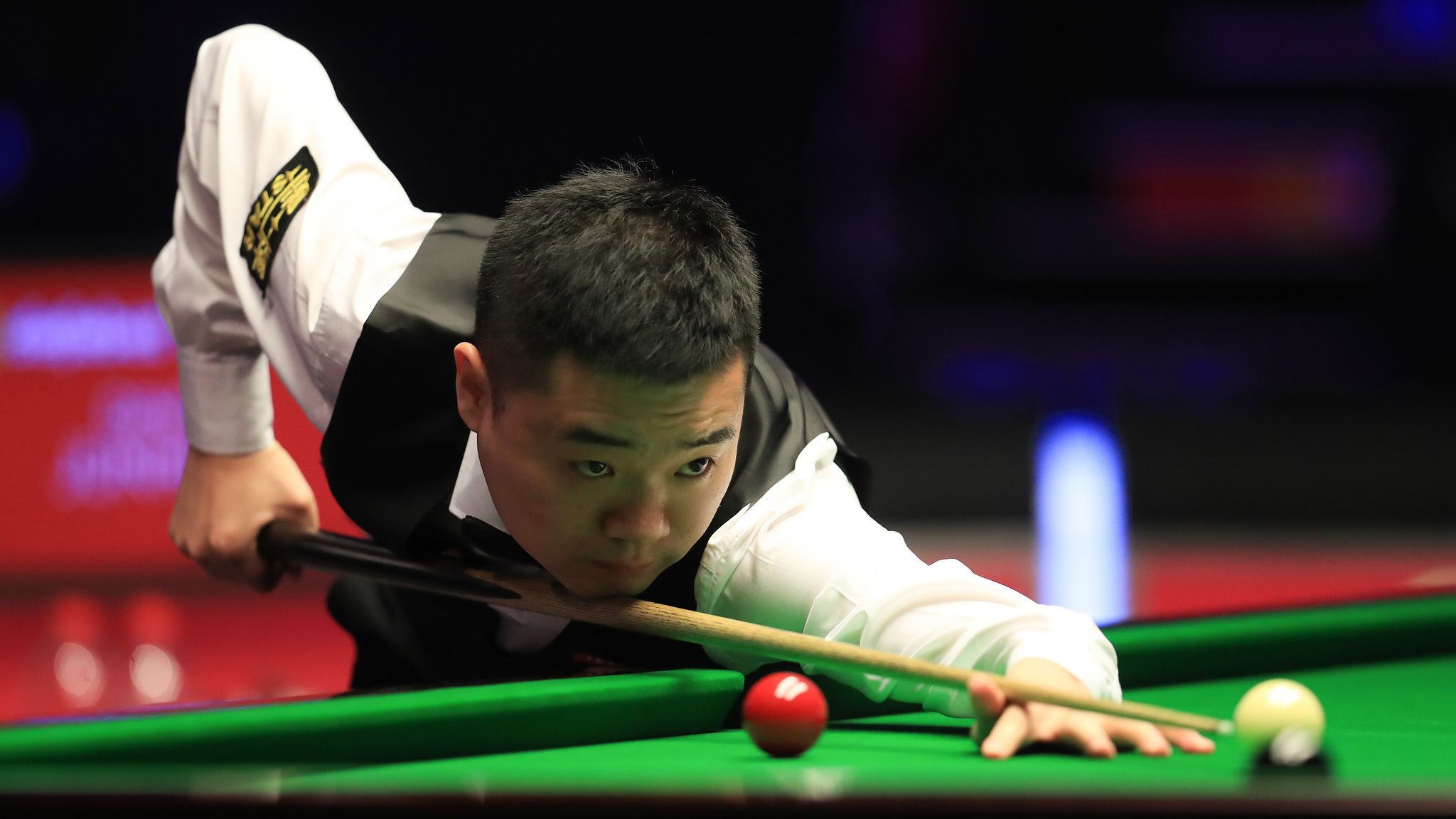 媒体评论员 媒体评论员