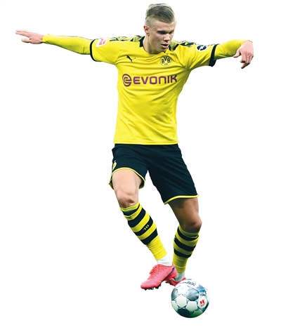 提前预判包 提前预判包